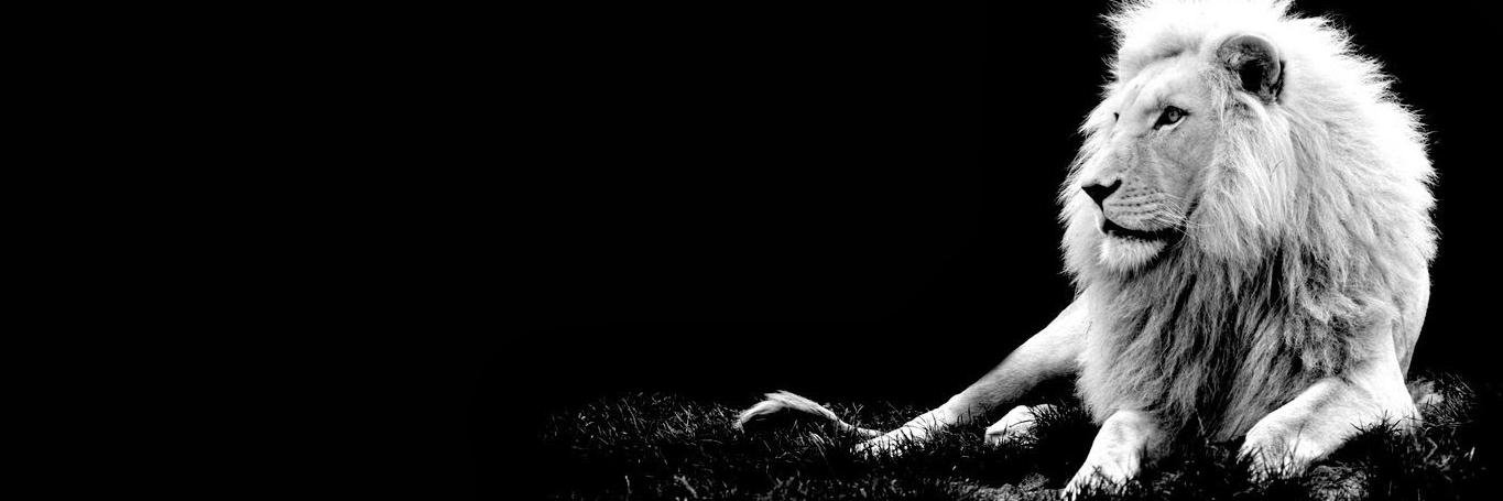 blackorwhite571's profile banner image