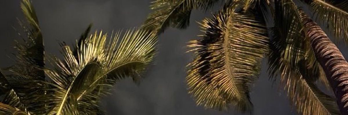 couldbejules's profile banner image