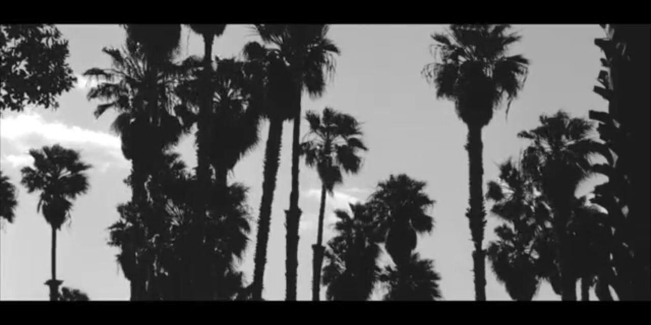 diedoug's profile banner image