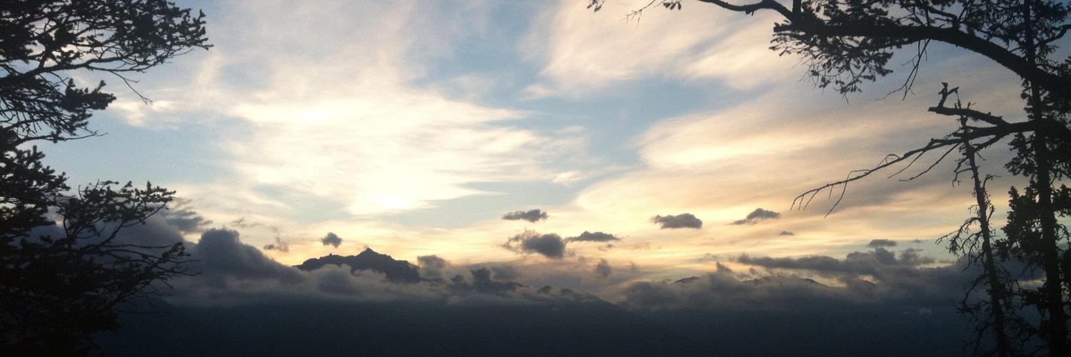 Jee_Nguyen's profile banner image