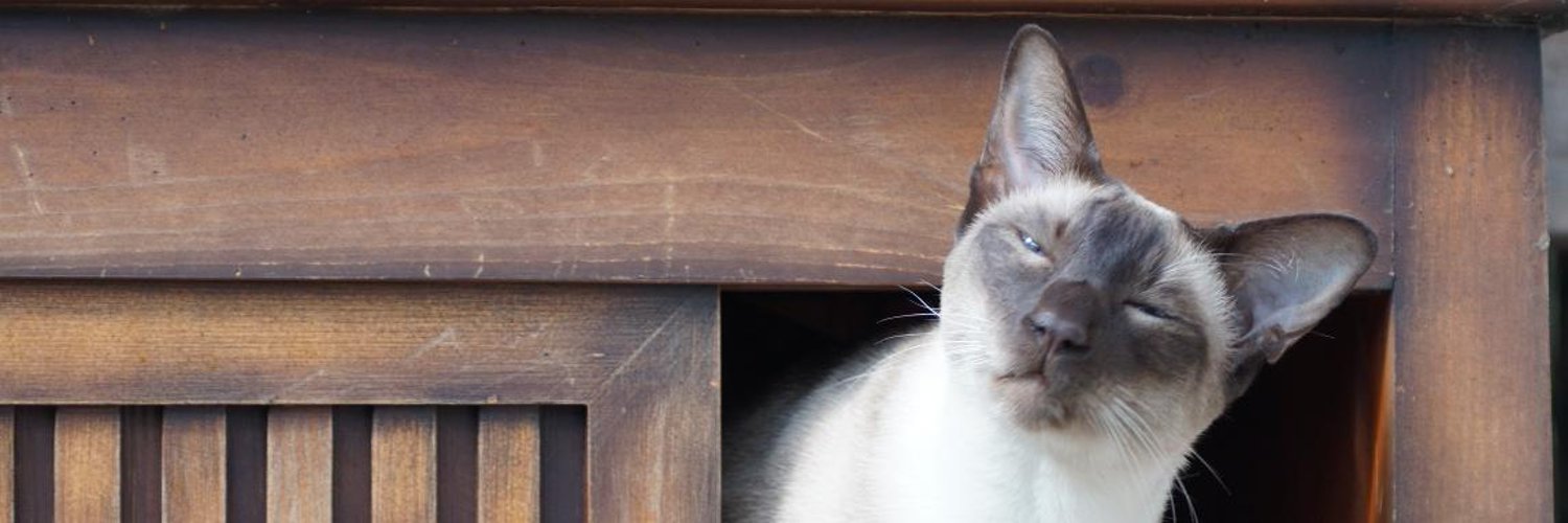 Beppski's profile banner image