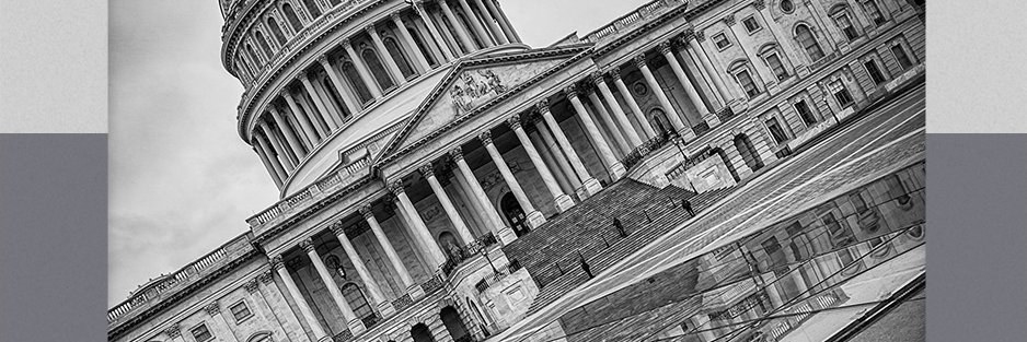 Nicholas Stephanopoulos banner