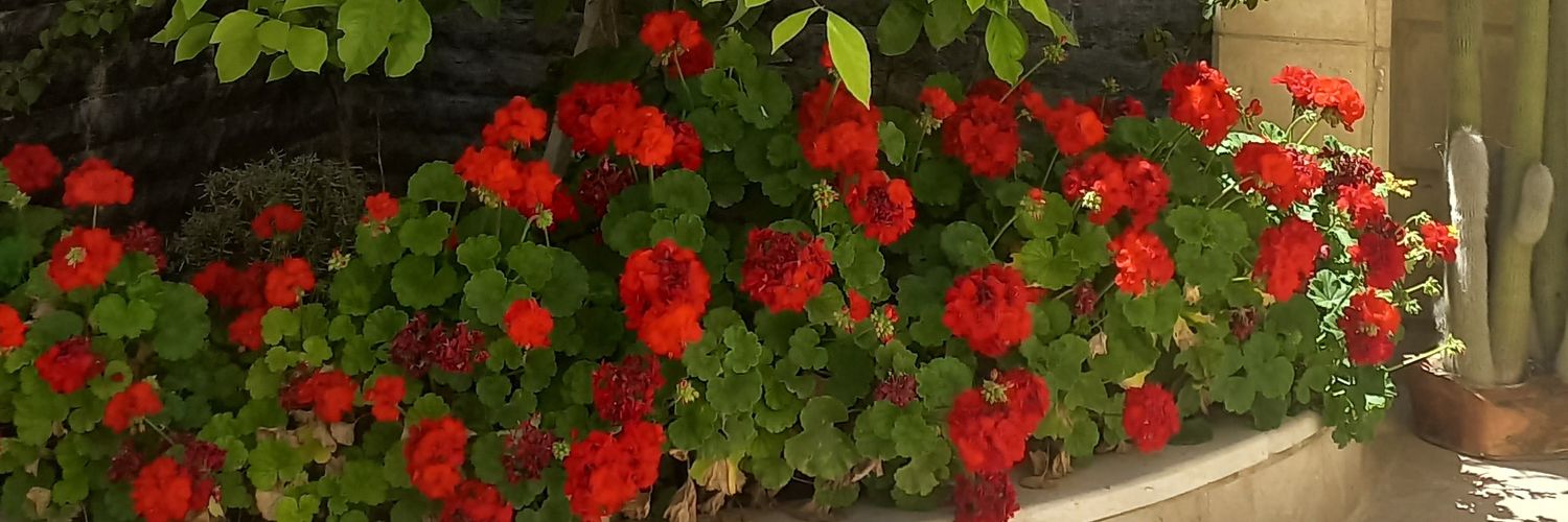 orangee85's profile banner image