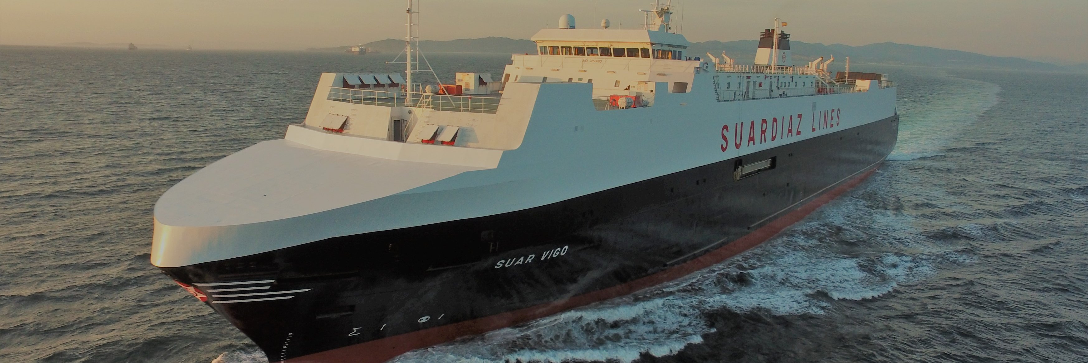 SUARDIAZ Group banner