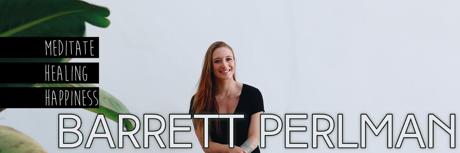 BarrettPerlman's profile banner image