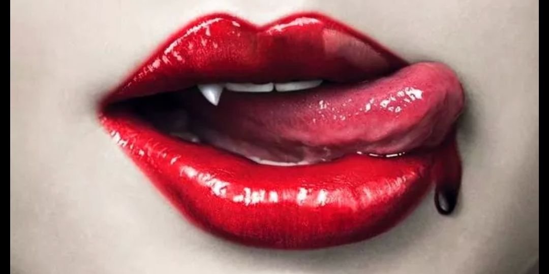 BerkcanBoyar's profile banner image
