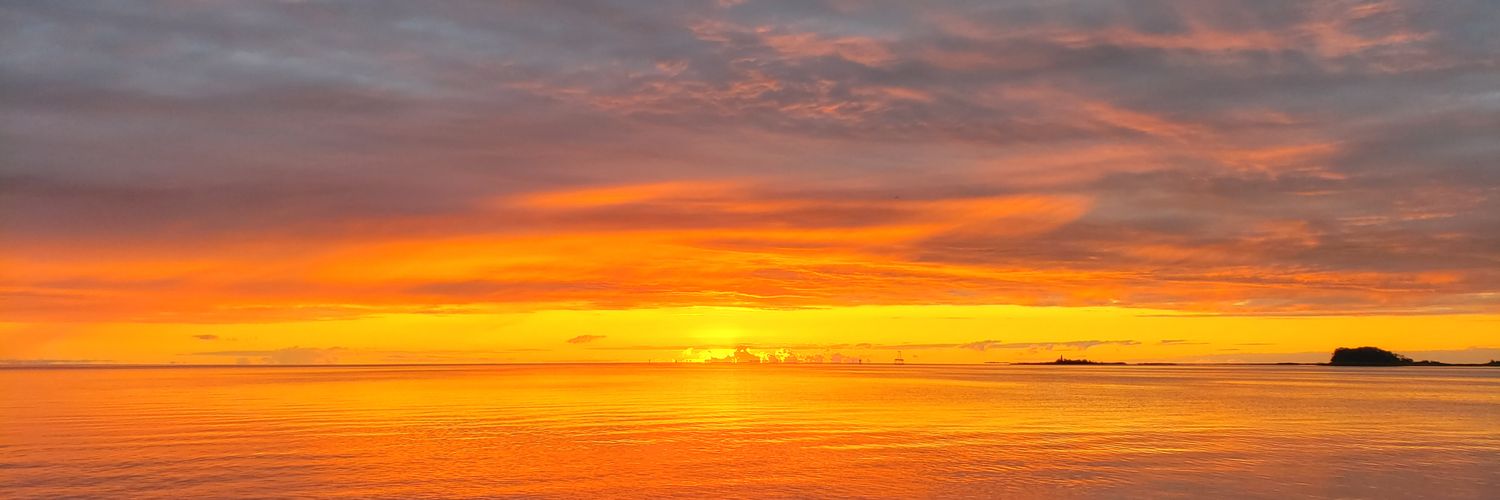 Patrick F. Stone banner