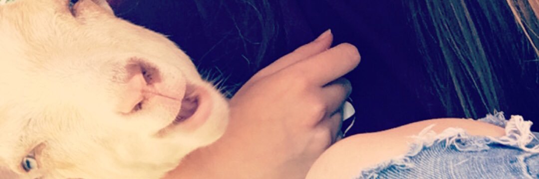 WhiteBoneKuti's profile banner image
