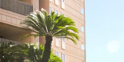JustinRPGFSV's profile banner image