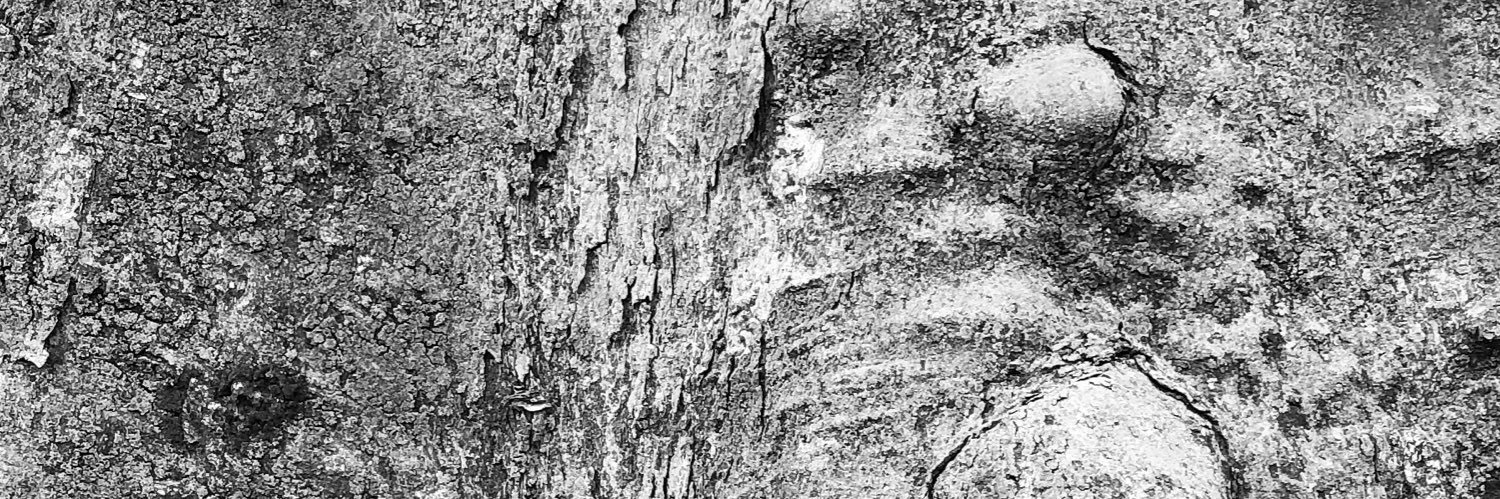 Akirat2000's profile banner image