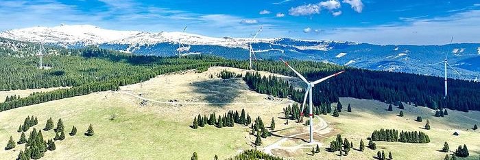 Julius Bergmann banner