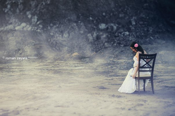 колібрі banner