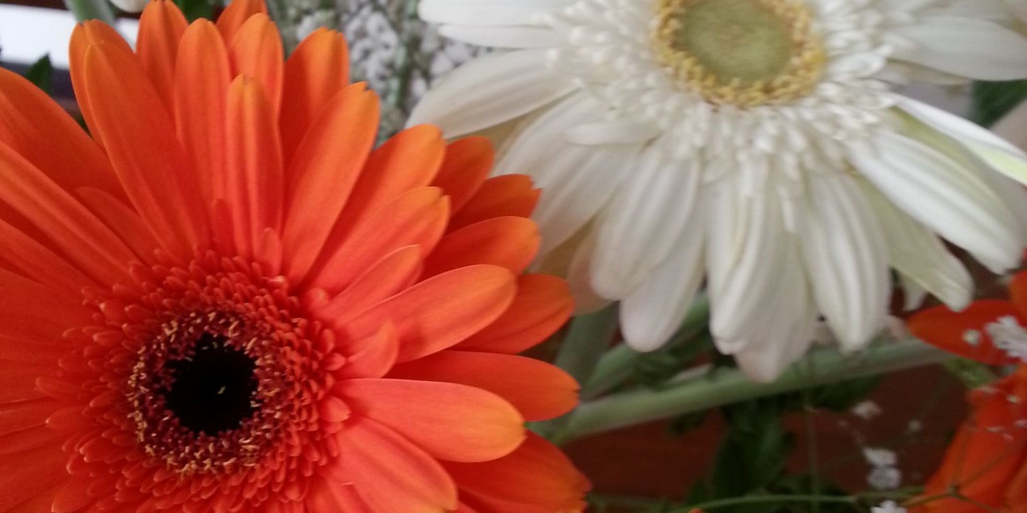 152d1cc0519a46d's profile banner image