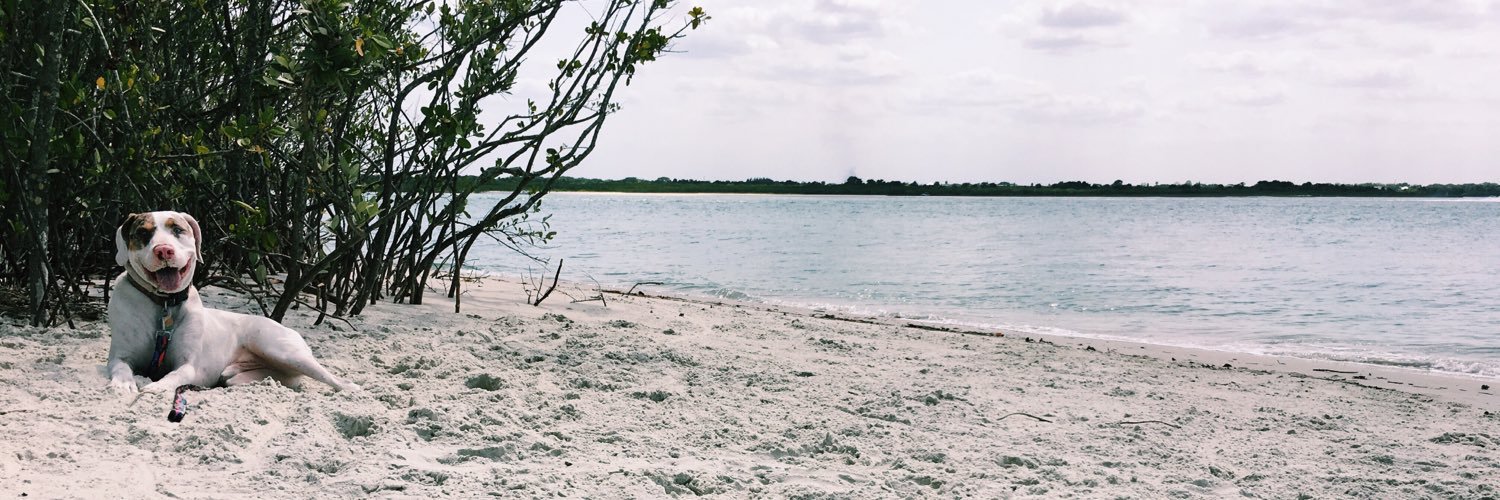 kaitpatrick's profile banner image