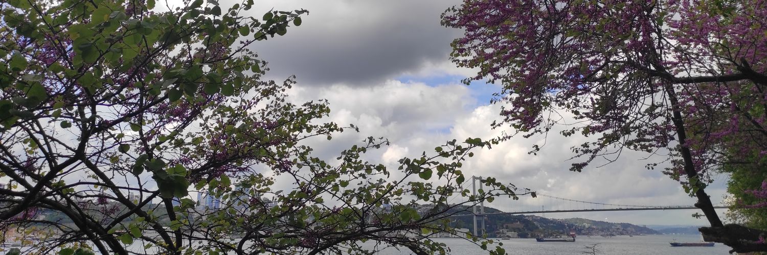 yldzz69's profile banner image