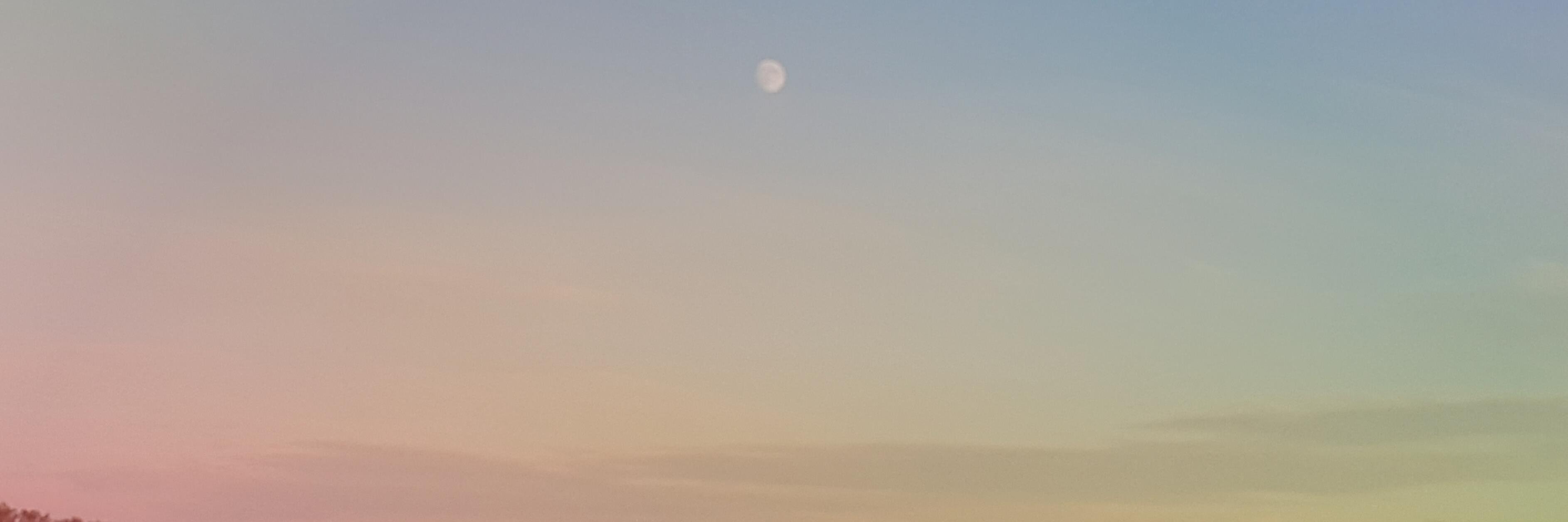 Sav_Costi's profile banner image