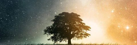 IsamarEB's profile banner image