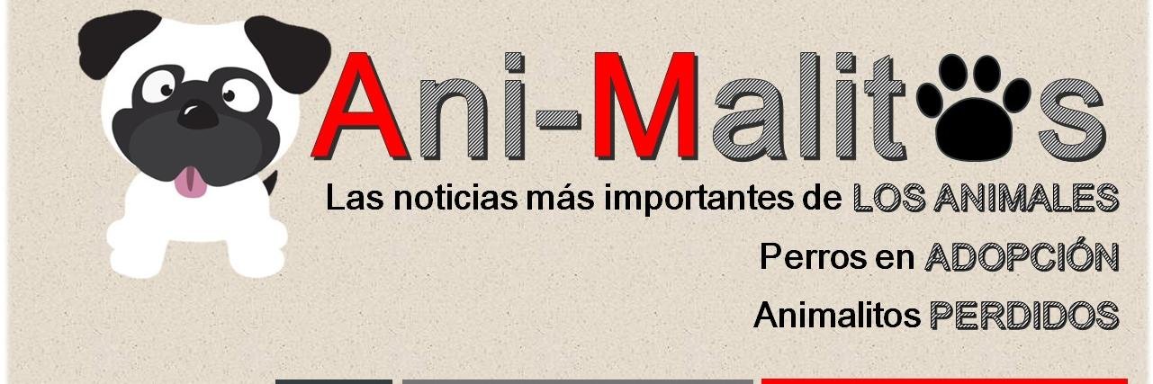 ANIMALITOS_COL's profile banner image