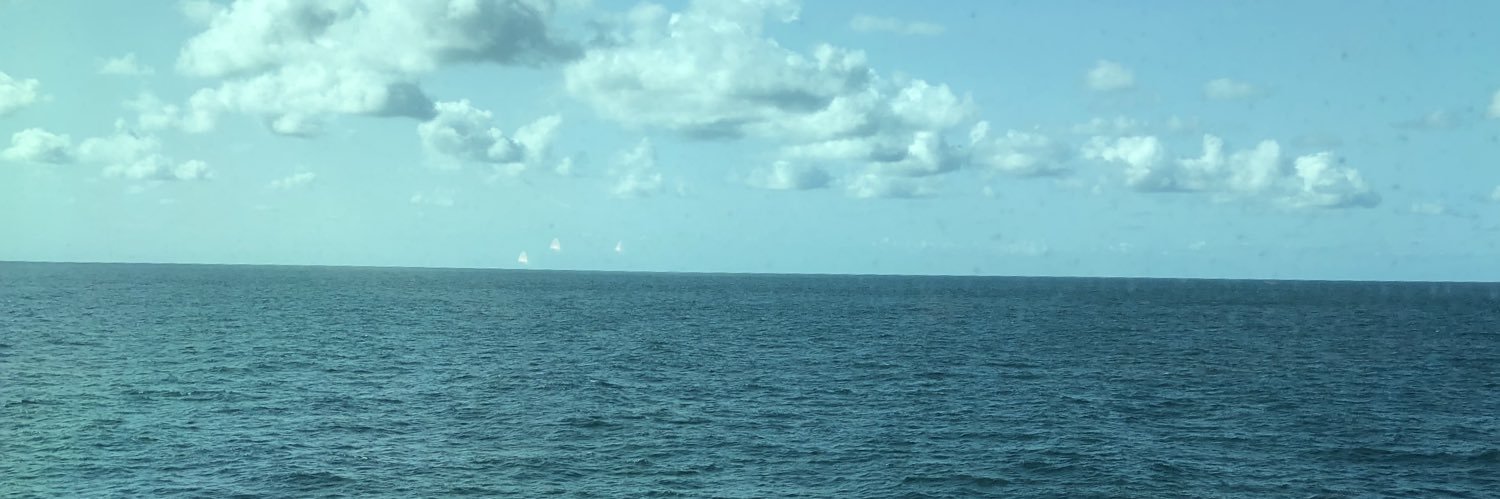 ristanmi's profile banner image