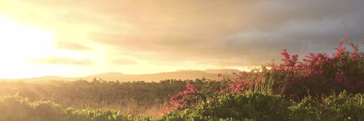 Beth Teiken banner