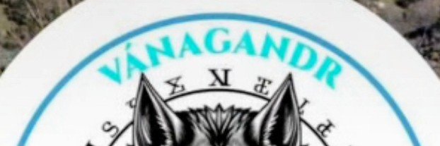 mercechunga's profile banner image