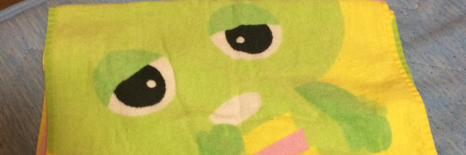 shothubasa's profile banner image