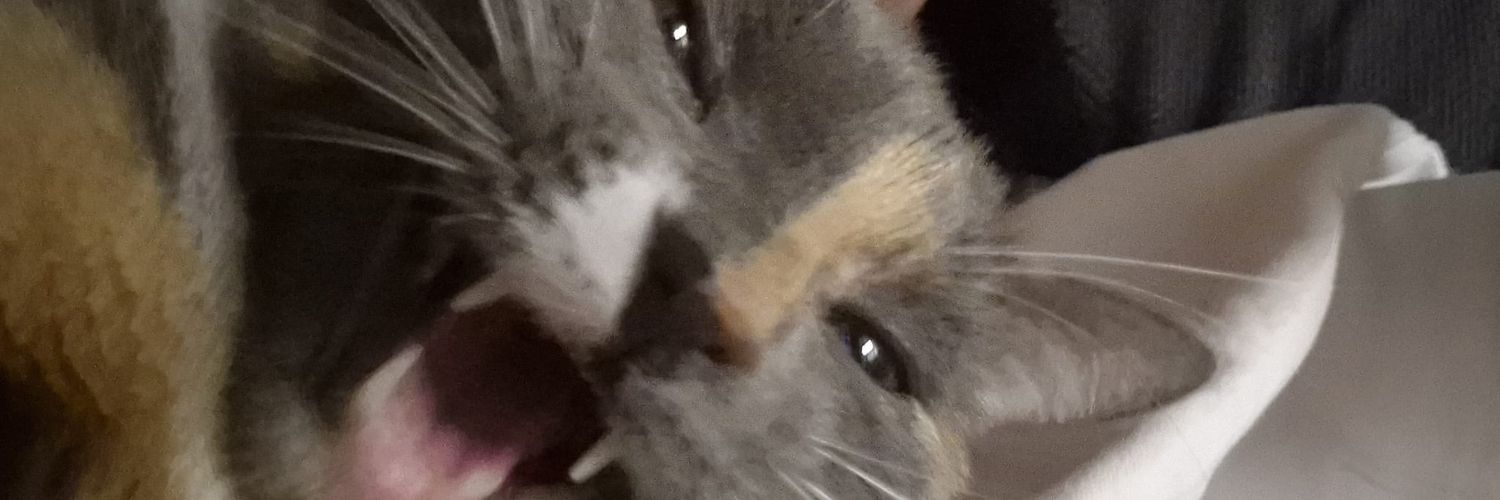 Ziegenmarie banner
