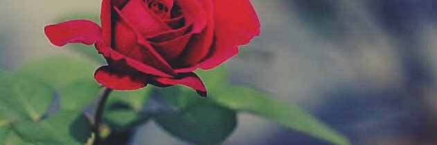 _00ars00's profile banner image
