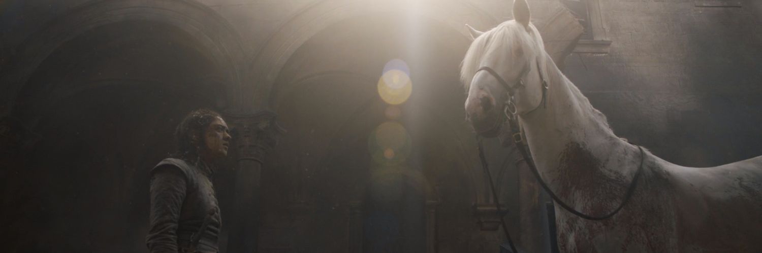 NedStarkSp's profile banner image