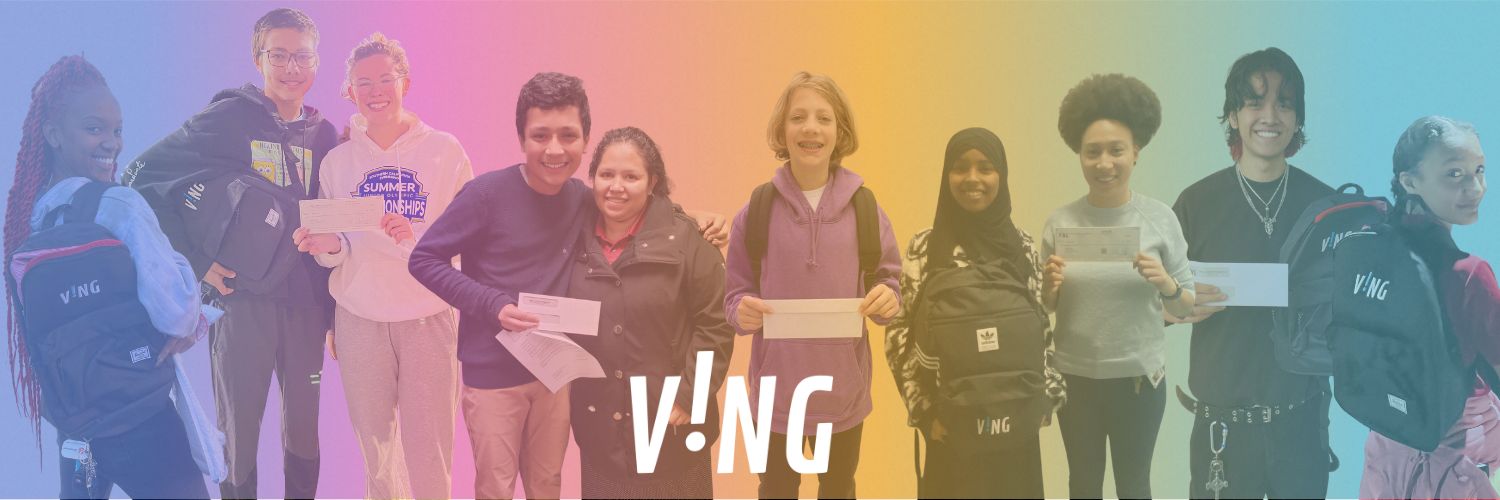 the VING project banner