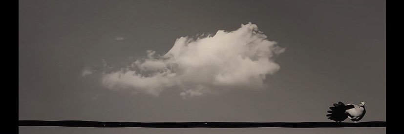 4040214's profile banner image