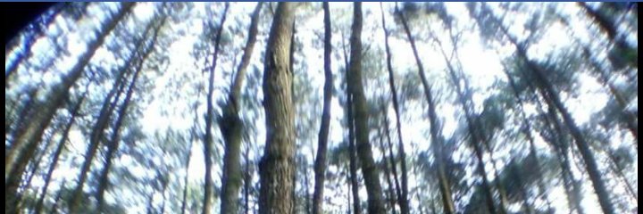 ariescicis's profile banner image