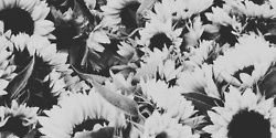 barbshegdr's profile banner image