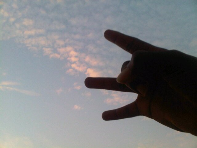 Jobi☀King▴ banner