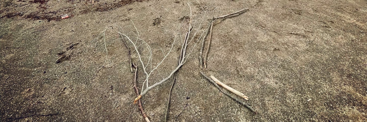 voodoocrystals's profile banner image