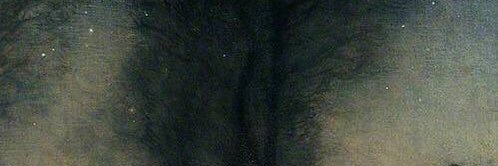 obriengdrall's profile banner image