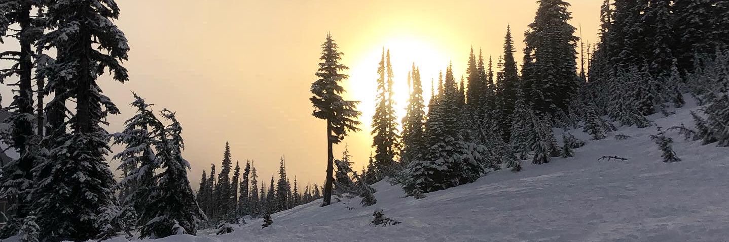 anadh8's profile banner image