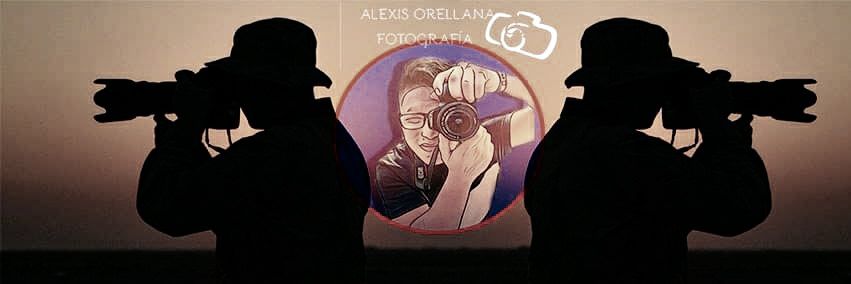 Al3xAkd's profile banner image