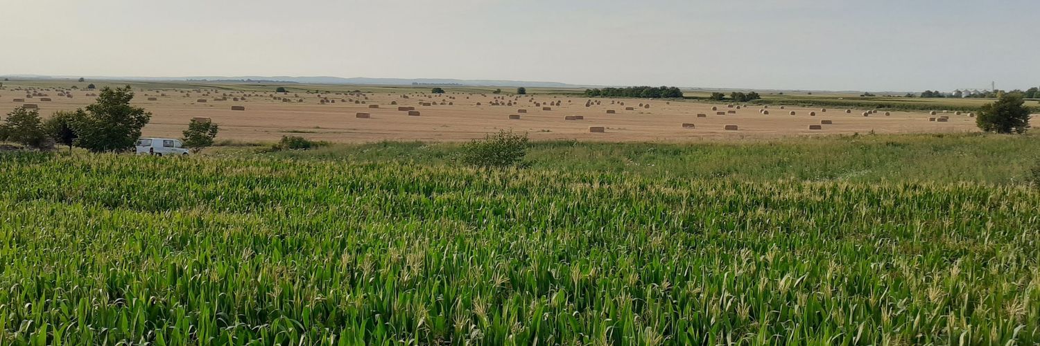 Danijel Penđer banner