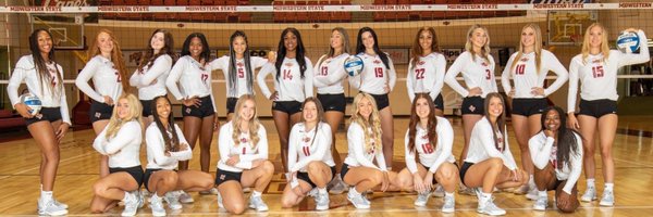 msutexasvb Profile Banner