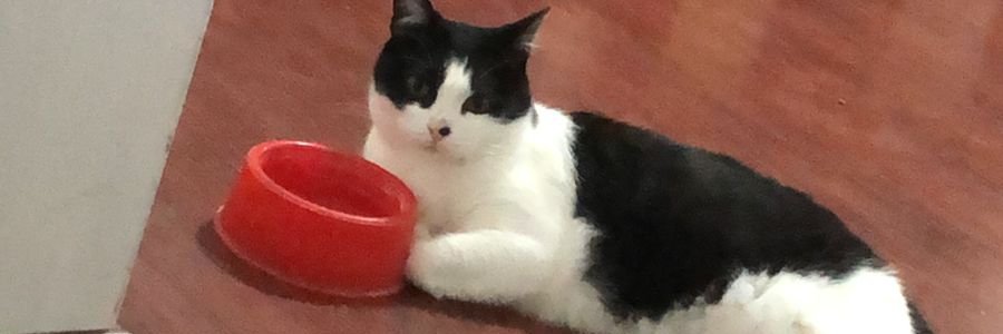 walyeze's profile banner image