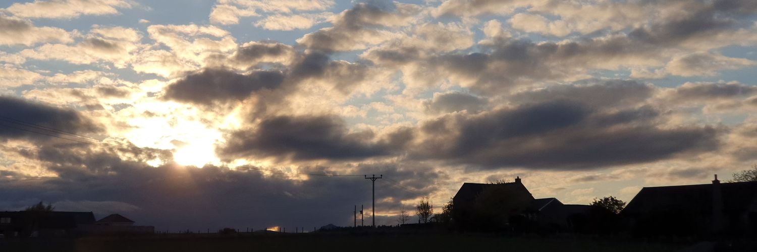 Michelle Skellern banner