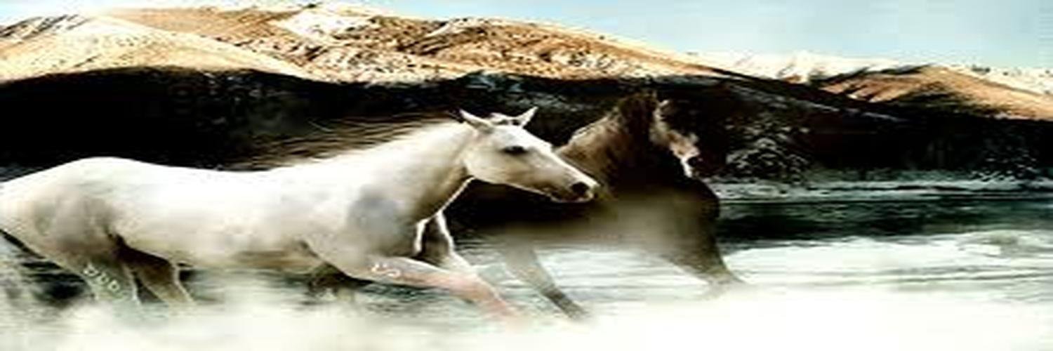 Ab0_Raaed's profile banner image