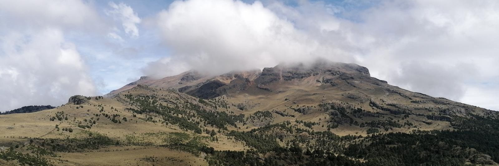 Bernardo the Lone Bear banner