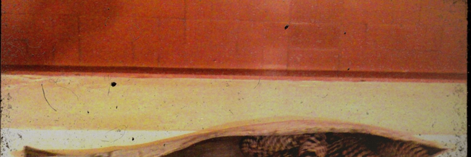 brasofilo's profile banner image