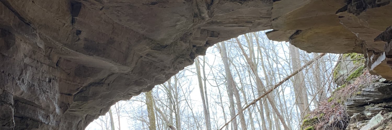 MsTempleton317's profile banner image