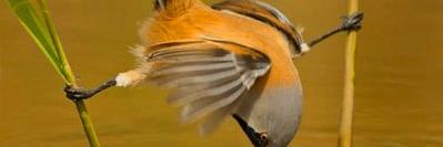 abdelh7977's profile banner image