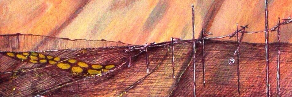sur_ko's profile banner image
