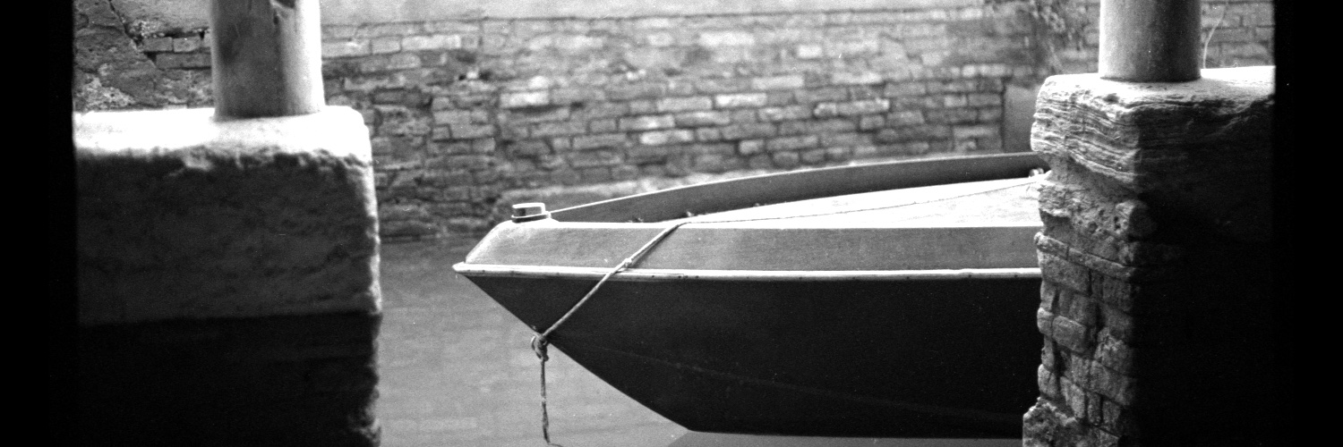 ALinPhotography's profile banner image