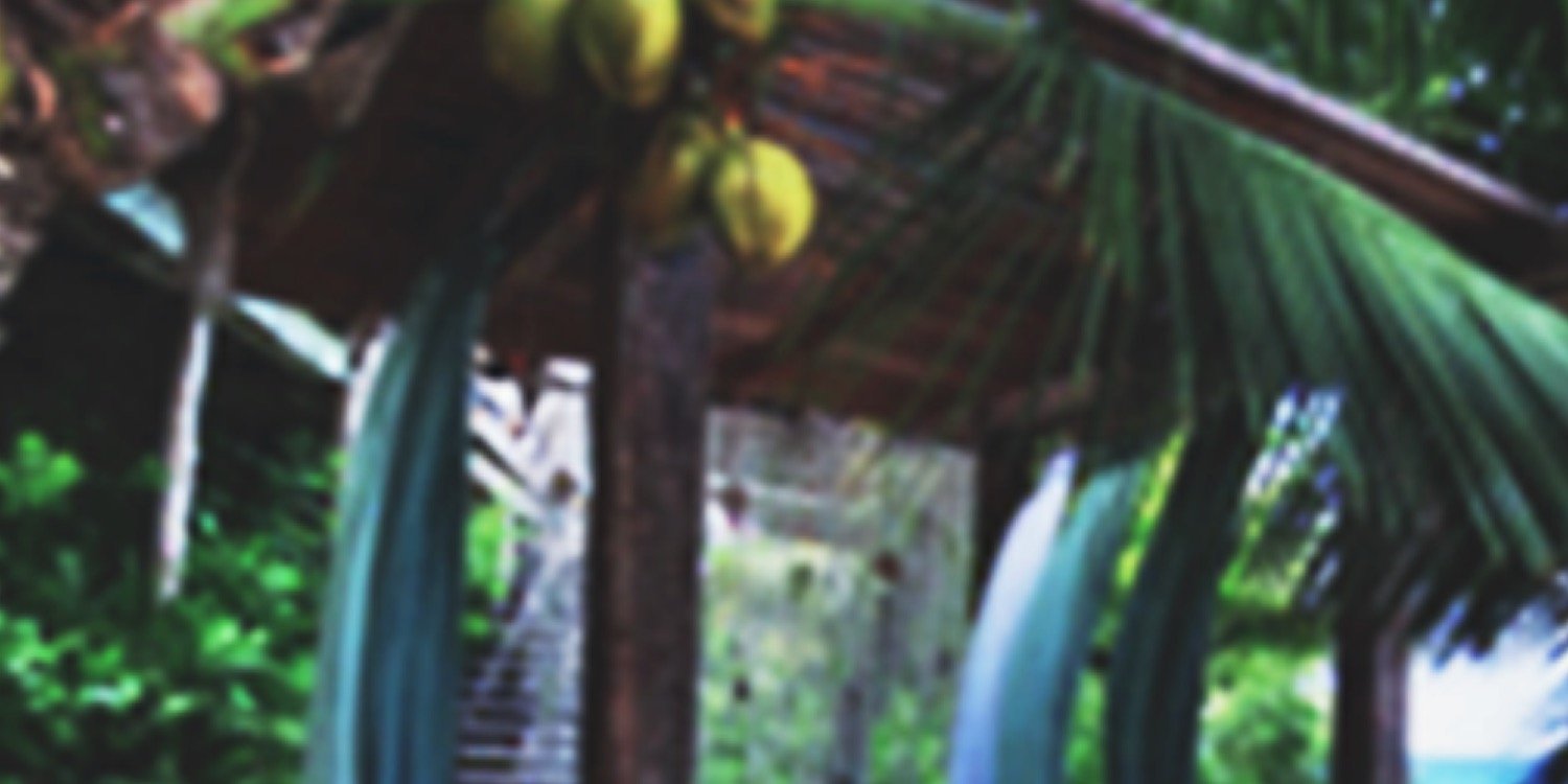 anctherfcke's profile banner image
